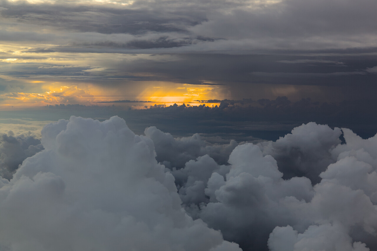 IMG.5320.JPG.jpg